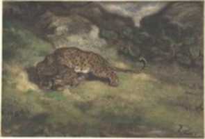 Free download Leopard and Serpent free photo or picture to be edited with GIMP online image editor