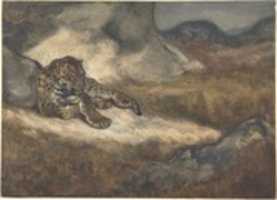 Free download Leopard Lying Down free photo or picture to be edited with GIMP online image editor