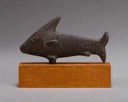 Free download Lepidotus fish free photo or picture to be edited with GIMP online image editor