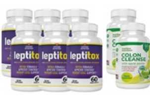Free download Leptitox Review free photo or picture to be edited with GIMP online image editor