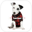 Lerner eReader  screen for extension Chrome web store in OffiDocs Chromium
