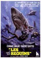 Free download Les Requins free photo or picture to be edited with GIMP online image editor