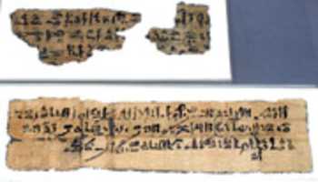 Free download Letter with hieratic inscription free photo or picture to be edited with GIMP online image editor