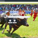 Lễ hội chọi trâu  screen for extension Chrome web store in OffiDocs Chromium