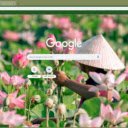 Lễ hội hoa sen Tây Hồ  screen for extension Chrome web store in OffiDocs Chromium