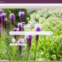 Liatris  screen for extension Chrome web store in OffiDocs Chromium