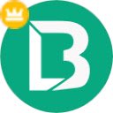 License Buddy Pro  screen for extension Chrome web store in OffiDocs Chromium