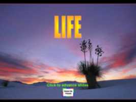 Free download Lifenewwebpresent free photo or picture to be edited with GIMP online image editor