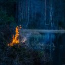 Light a fire in the forest  screen for extension Chrome web store in OffiDocs Chromium