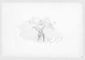 Free download Lilies (from Switzerland 1869 Sketchbook) free photo or picture to be edited with GIMP online image editor