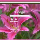 Lily  screen for extension Chrome web store in OffiDocs Chromium
