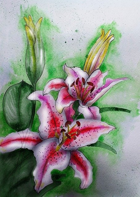 Ücretsiz indir Lily Flowers Beauty - GIMP çevrimiçi resim düzenleyici ile düzenlenecek ücretsiz illüstrasyon