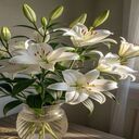 lily vase wallpaper  screen for extension Chrome web store in OffiDocs Chromium