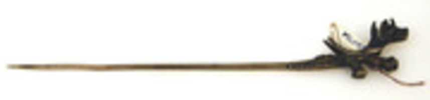 Free download Lime Dipper or Pin free photo or picture to be edited with GIMP online image editor