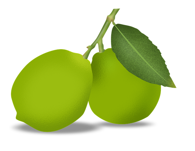 Free download Lime Drawing Lemons Green -  free illustration to be edited with GIMP free online image editor