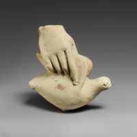 Free download Limestone hand holding a dove free photo or picture to be edited with GIMP online image editor