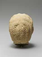 Free download Limestone head of a beardless man free photo or picture to be edited with GIMP online image editor