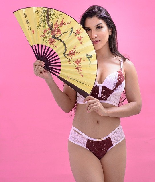 Free download lingerie fashion demands model free picture to be edited with GIMP free online image editor