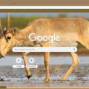 Linh Duong  screen for extension Chrome web store in OffiDocs Chromium