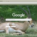 Linh Duong Gazelle  screen for extension Chrome web store in OffiDocs Chromium