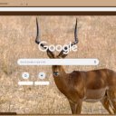 Linh Duong Impala  screen for extension Chrome web store in OffiDocs Chromium