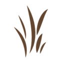 Linyanti  screen for extension Chrome web store in OffiDocs Chromium