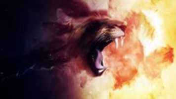 Free download lion2 free photo or picture to be edited with GIMP online image editor