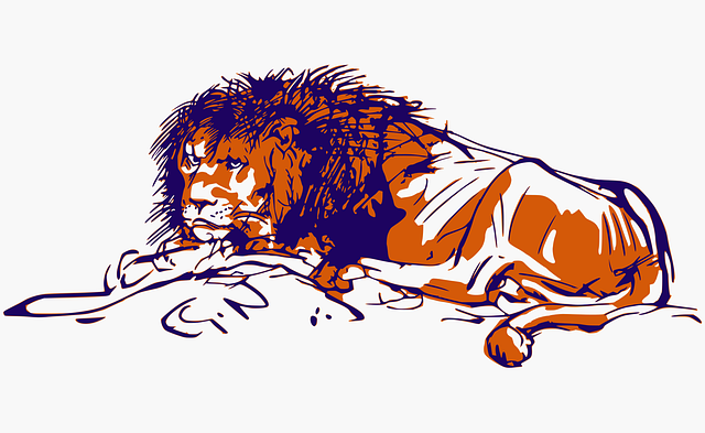 Free download Lion Animal Africa - Free vector graphic on Pixabay free illustration to be edited with GIMP free online image editor