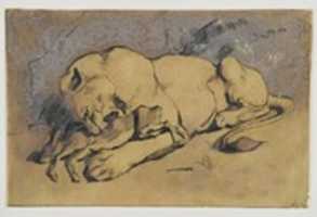 Free download Lioness Devouring a Rabbit free photo or picture to be edited with GIMP online image editor