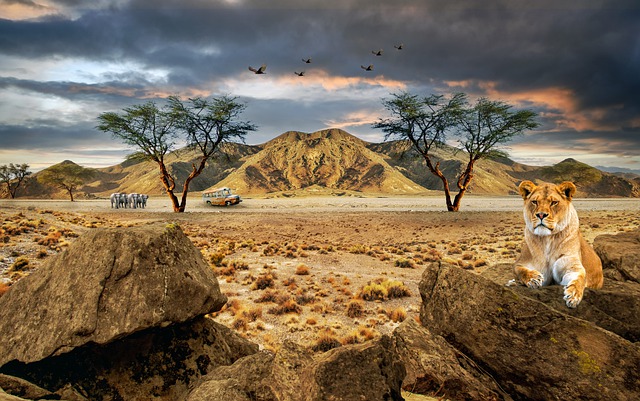 Free download lioness safari desert elephants free picture to be edited with GIMP free online image editor