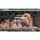 Lion Family  screen for extension Chrome web store in OffiDocs Chromium