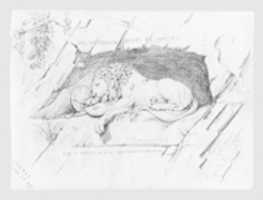 Free download Lion Monument, Lucerne (from Switzerland 1870 Sketchbook) free photo or picture to be edited with GIMP online image editor