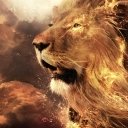 Lion of Judah  screen for extension Chrome web store in OffiDocs Chromium