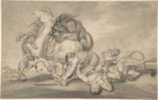 Free download Lions Attacking Two Men and a Horse free photo or picture to be edited with GIMP online image editor