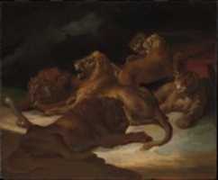 Free download Lions in a Mountainous Landscape free photo or picture to be edited with GIMP online image editor