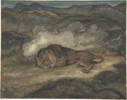 Free download Lion Sleeping free photo or picture to be edited with GIMP online image editor