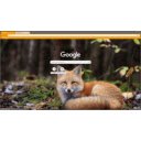 lis  screen for extension Chrome web store in OffiDocs Chromium
