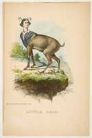 Free download Little Dear, from The Comic Natural History of the Human Race free photo or picture to be edited with GIMP online image editor