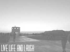 Free download Live Life And Laugh Kiaerra free photo or picture to be edited with GIMP online image editor