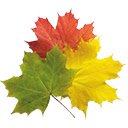 صفحه نمایش نقشه شاخ و برگ نیوانگلند زنده برای افزونه فروشگاه وب Chrome در OffiDocs Chromium