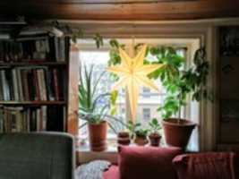 Free download Living room window sill, Uppsala, Sweden free photo or picture to be edited with GIMP online image editor