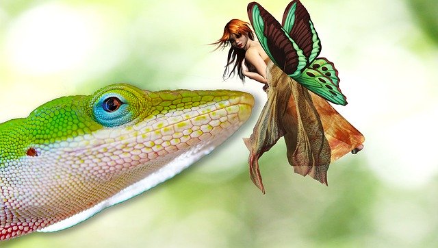 Kostenloser Download Eidechsenfee Fantasy-Reptilien-freies Bild, das mit dem kostenlosen Online-Bildbearbeitungsprogramm GIMP bearbeitet werden kann