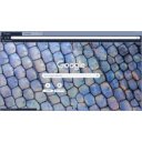 Lizard Scales  screen for extension Chrome web store in OffiDocs Chromium