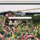 Làng hoa Nam Phong  screen for extension Chrome web store in OffiDocs Chromium