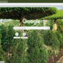 Làng hoa Vị Khê  screen for extension Chrome web store in OffiDocs Chromium
