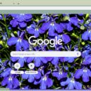 Lobelia  screen for extension Chrome web store in OffiDocs Chromium
