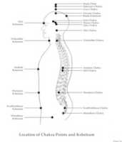 Free download Location Of Nadis And Chakras free photo or picture to be edited with GIMP online image editor