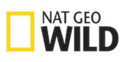Free download logo_ngw free photo or picture to be edited with GIMP online image editor