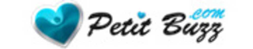 Free download logopetitbuzz free photo or picture to be edited with GIMP online image editor