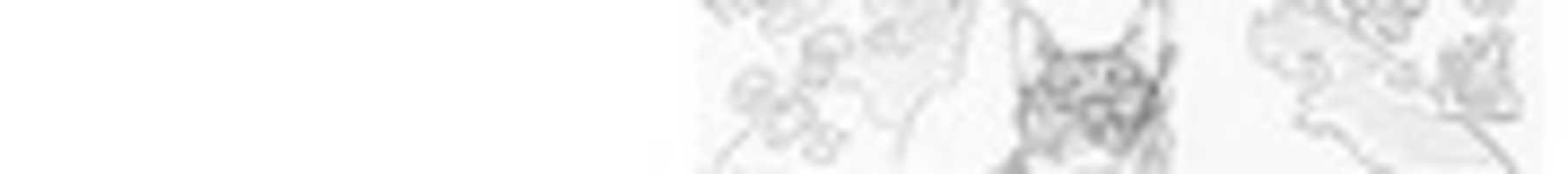 Free download logo the world kats free photo or picture to be edited with GIMP online image editor